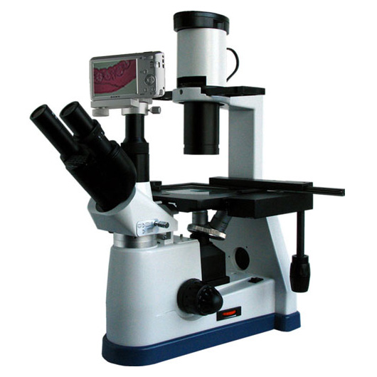 倒置生物顯微鏡BM-37XBS(數(shù)碼)